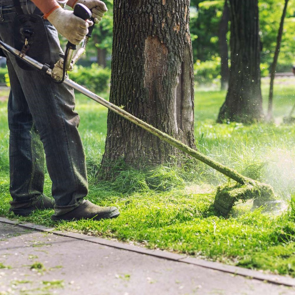 Entretien de jardin près de Nîmes