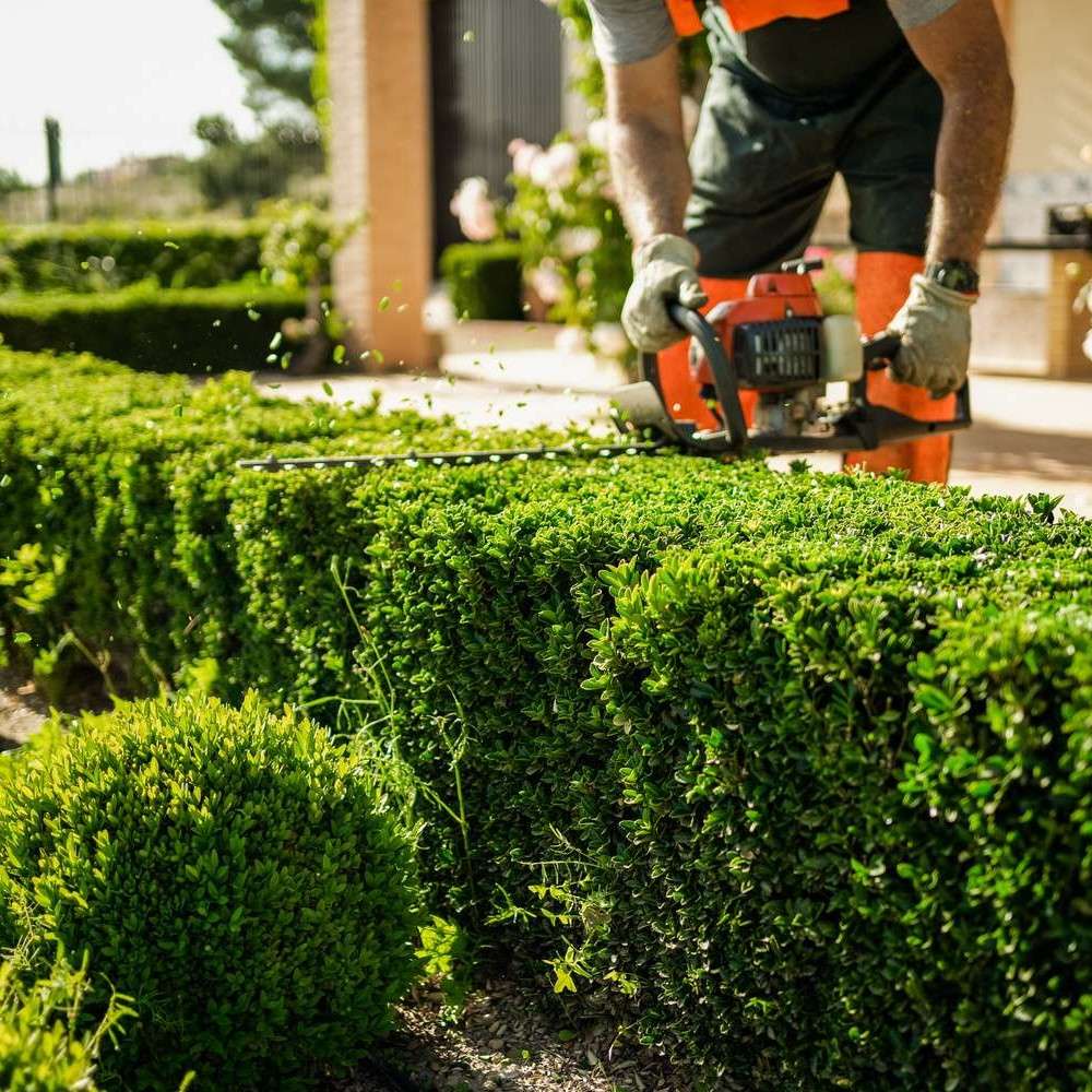 Entretien de jardin près de Nîmes